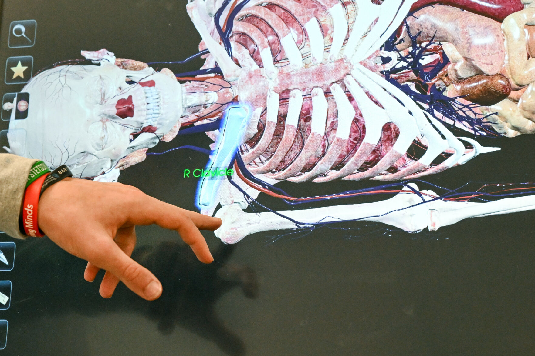BR.livanatomy.09xx25.05.JPG